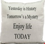 Nourison Lifestyle Yesterday is History 18"x18" Pillow 798019016517