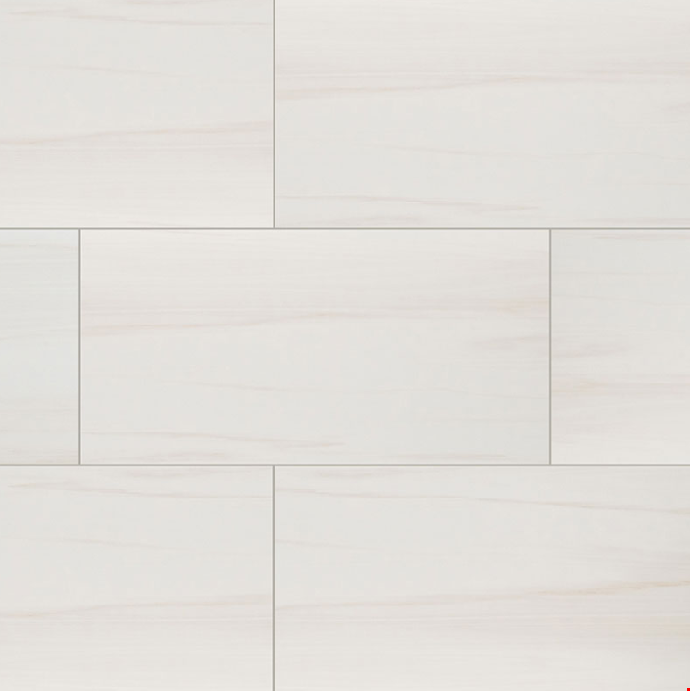 MS International Eden: Dolomite 12" x 24" Matte Porcelain Tile NEDEDOL1224