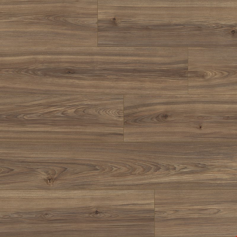 Paramount Flooring Timbrcore Riverton: Riverwood 8mm Laminate TCUB0805