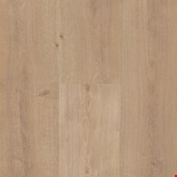 Paramount Flooring Timbrcore Sequoia: Florence Peak 10mm Laminate TC72019