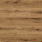 Honeypot 12mm TC4604