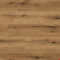 Paramount Flooring Timbrcore Salzburg: Honeypot 12mm Laminate TC4604