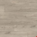 Beaver Creek TC22004