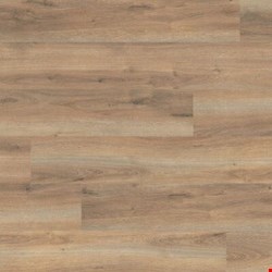 Paramount Flooring Timbrcore Alpine: Echo 12mm Laminate TC22012