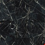 Marquina 12" 24" Tile DB508