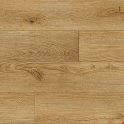 Paramount Bliss Dry Back: Congaree 7