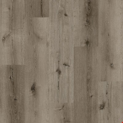 Paramount Bliss 5.0: Tamarack 9" x 60" Waterproof Vinyl Plank PA5MM31
