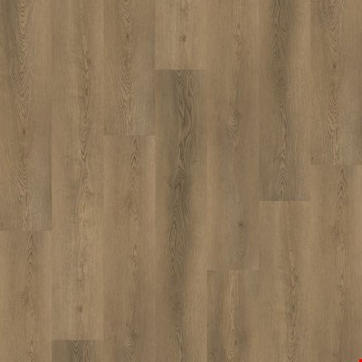 Paramount Bliss 5.0: Clearwater 9" x 60" Waterproof Vinyl Plank PA5MM32