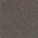 Smokey Brown 5C868