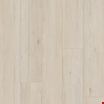 Coastal Elm Dune SF011