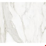 Calacatta Paonazzo Honed 24"x48" ANALMCP2448H