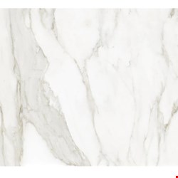 Anatolia La Marca : Calacatta Paonazzo Honed 24