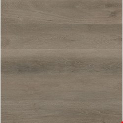 MS International Cyrus: Cranton 7