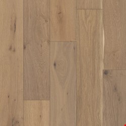 Shaw Expressions: Alla Prima 5/8