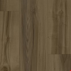 Tarkett EverGen Collection: Heritage Vine Luxury Vinyl Plank WP011