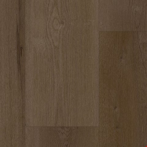 Tarkett EverGen Collection: Noble Natural Luxury Vinyl Plank WP032