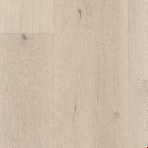 Tarkett EverGen Collection: Noble Spirit Luxury Vinyl Plank WP033