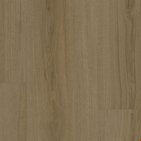 Tarkett EverGen Collection: Infinite Brilliant Luxury Vinyl Plank WP061