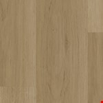 Divine Champagne WP073