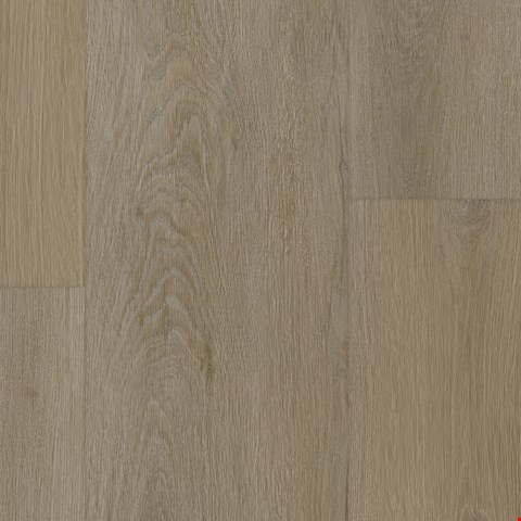 Tarkett EverGen Collection: Essence Aroma Luxury Vinyl Plank WP081