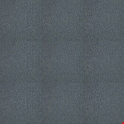 Shaw Peto II: Bluegrass Jazz 24