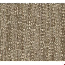 Shaw Crazy Smart: Ingenious 18