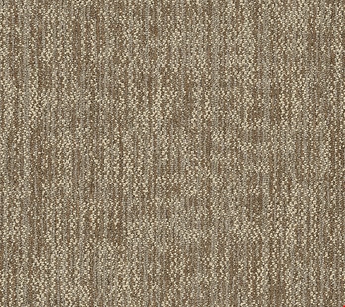 Shaw Crazy Smart: Ingenious 18" x 36" Carpet Tile 54841 00705