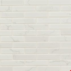 MS International Marble: Carrara White Matte 1