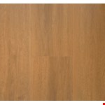 Adirondacks Golden Oaks 15941