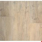 Provincial Celestial 75301