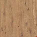 Thorny Hedge PTL08-258