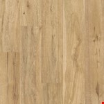 Grove: Hazelwood 10mm SL119 2039