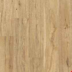Shaw Oak Grove: Hazelwood 10mm Laminate SL119 2039