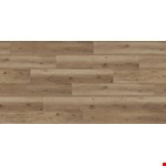 Jolly Mon CBLSN628JMP