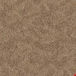 Compound Interest 00100