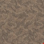 Pay It Forward 00101