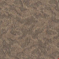 Shaw Ripple Effect: Pay It Forward 24