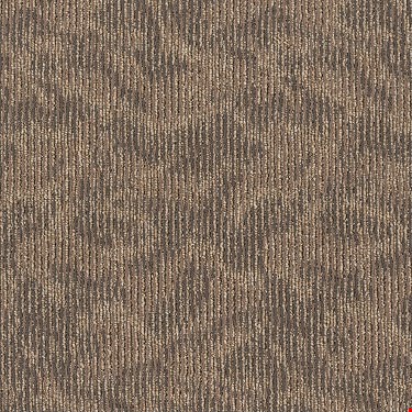 Shaw Ripple Effect: Pay It Forward 24" x 24" Carpet Tile J0116 00101