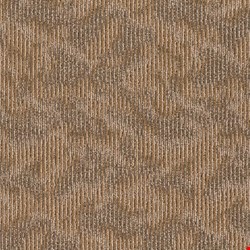 Shaw Ripple Effect: Echo 24