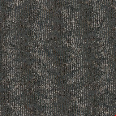 Shaw Ripple Effect: Word Of Mouth 24" x 24" Carpet Tile J0116 00504