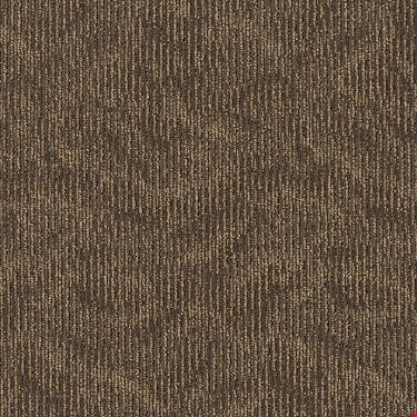 Shaw Ripple Effect: Sequence 24" x 24" Carpet Tile J0116 00703