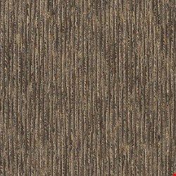 Shaw Sync Up: Data 24