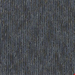 Shaw Sync Up: Contacts 24