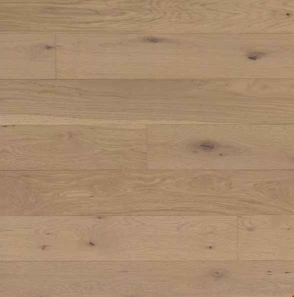 MS International Engineered Hardwood: Sandy Shores Oak 3/8" x 7" Tongue and Groove Engineered Hardwood VTWHDSANSHO7X48 