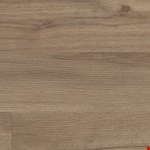 Baywood Oak VV023-00571
