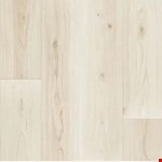 Northbound Cedar with attached pad NEUP3954301