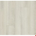 Morning Light PT009-316