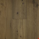 Adela Vivid Beginnings AD127VB