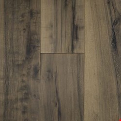 LifeCore Allegra Maple: Clarity 1/2