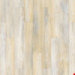 Yellow Wish FTS21-257